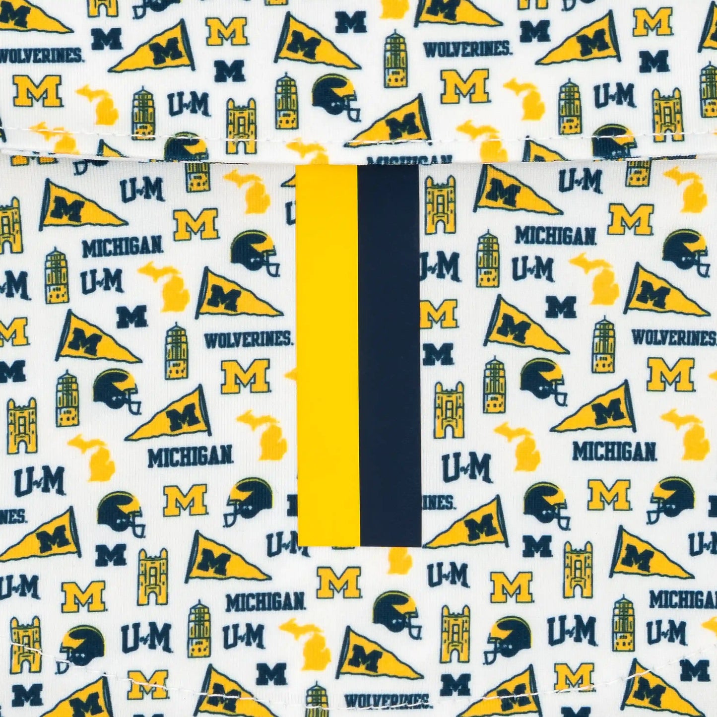 The Michigan Gameday