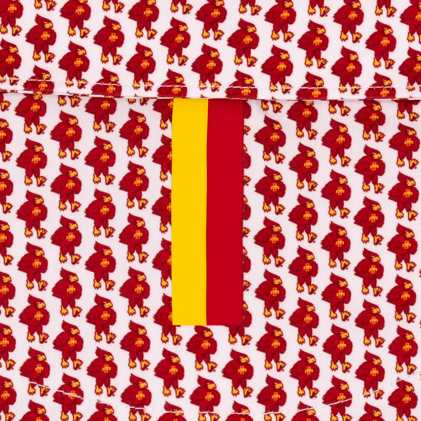 The Iowa State Cyclones®
