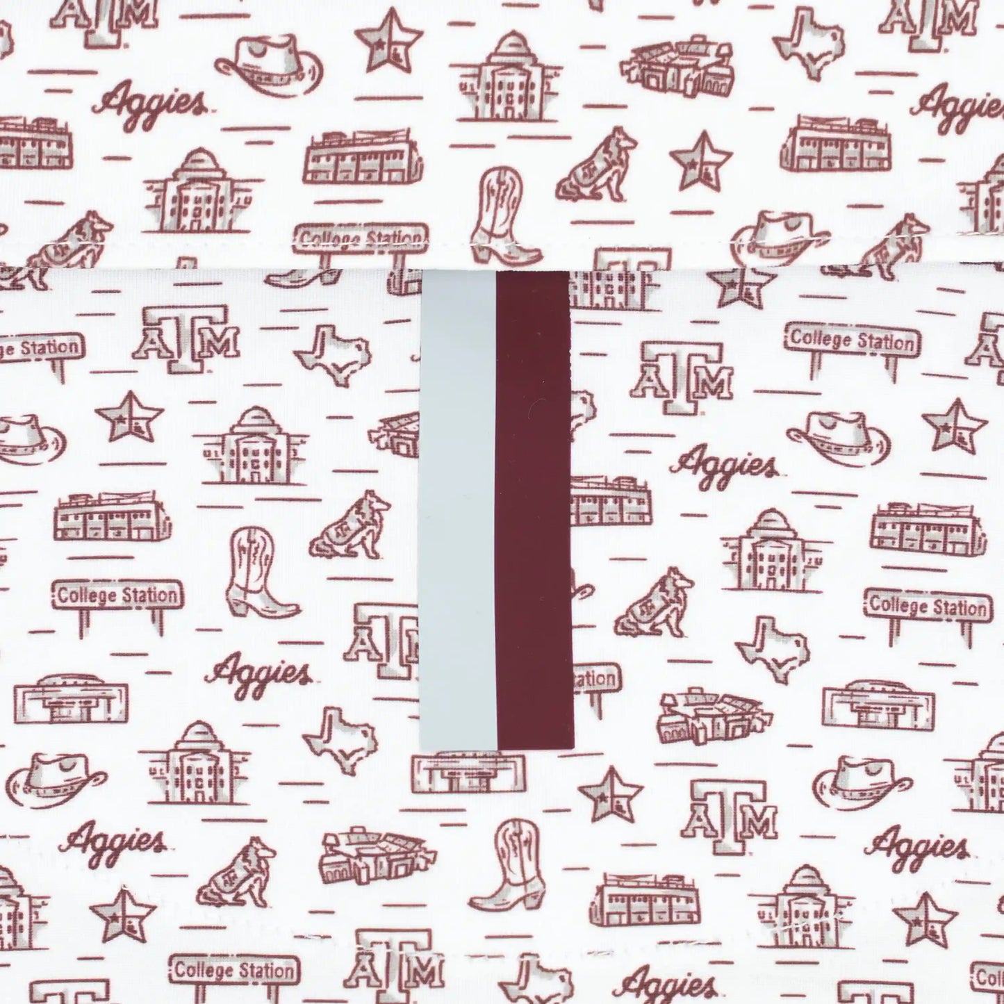 The Texas A&M College Town