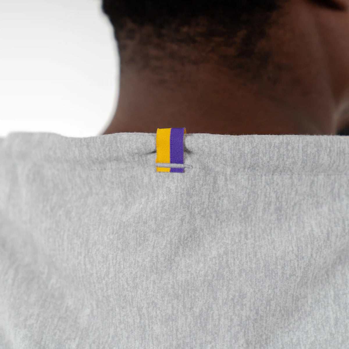 Hesi Collegiate Hoodie - LSU