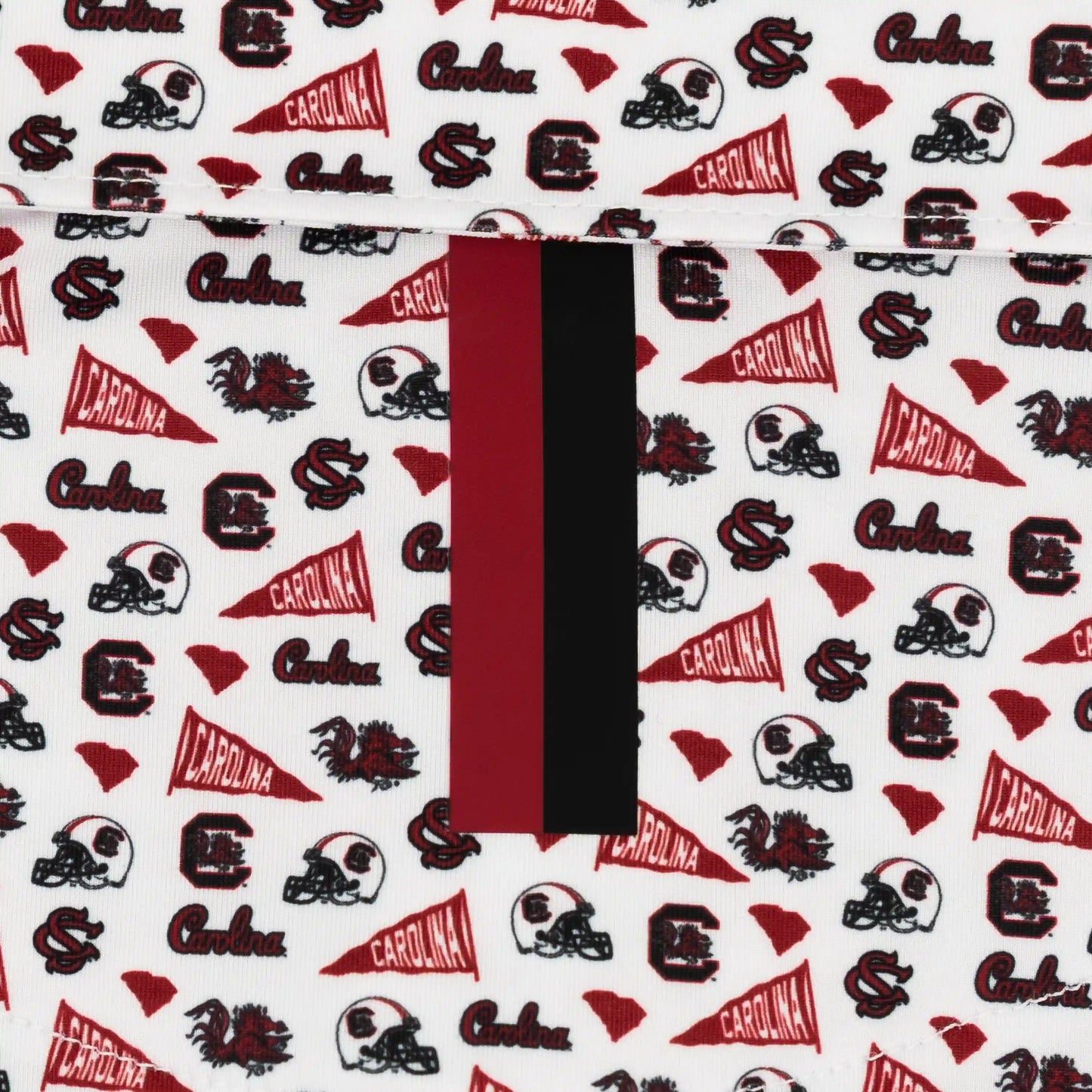 The South Carolina Gameday