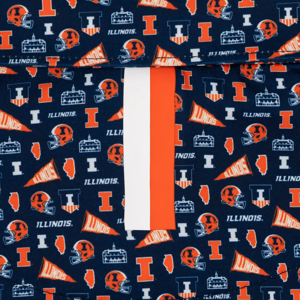 The Illinois Gameday