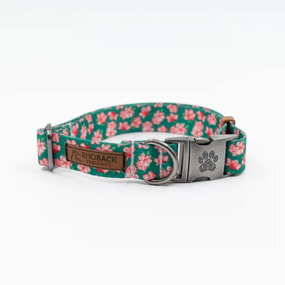 The Azalea Collar