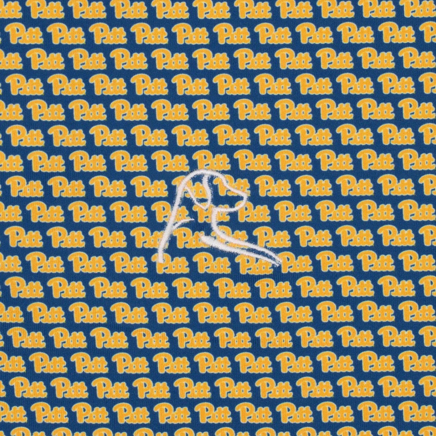 The Pitt Panthers™