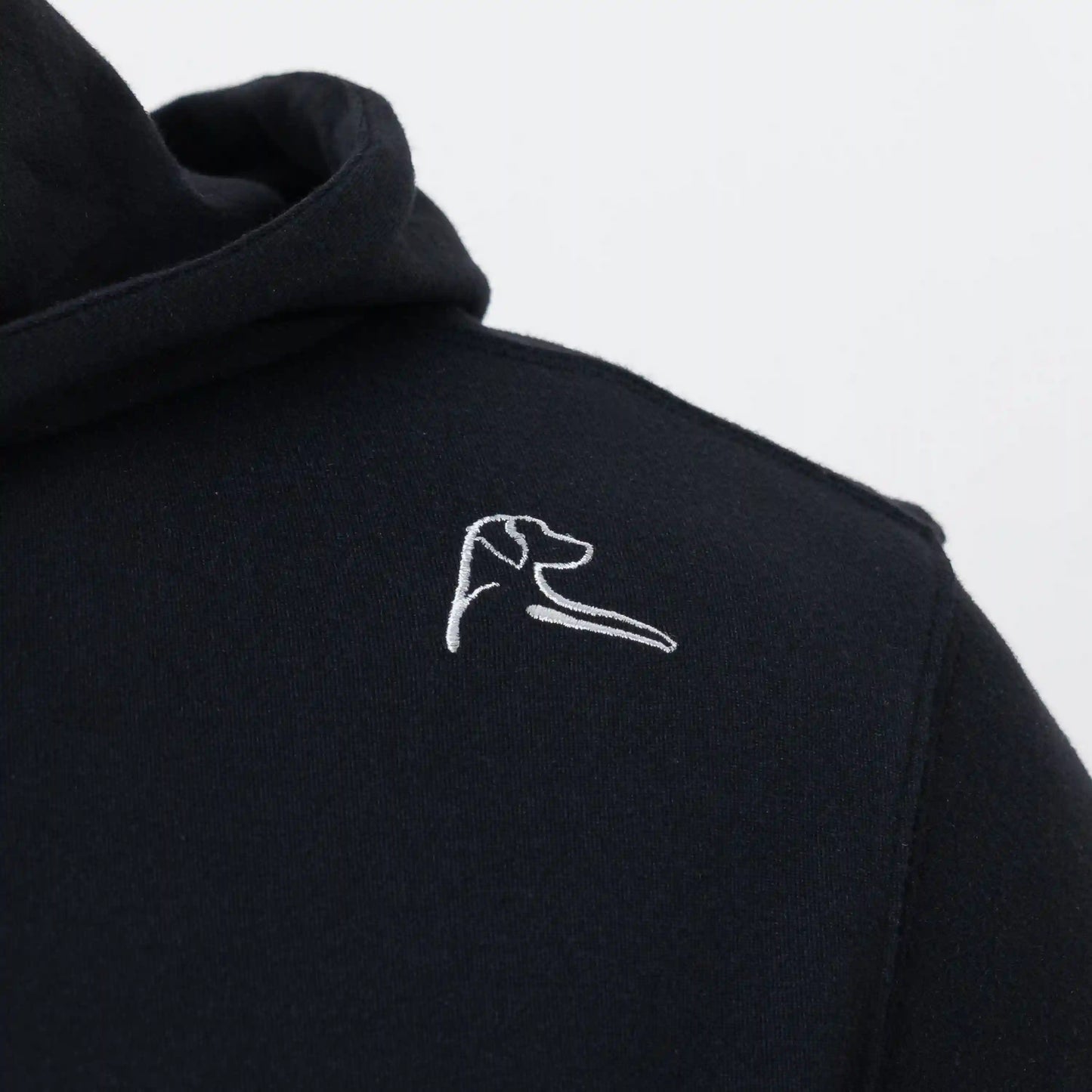 Hesi Collegiate Hoodie - Michigan State