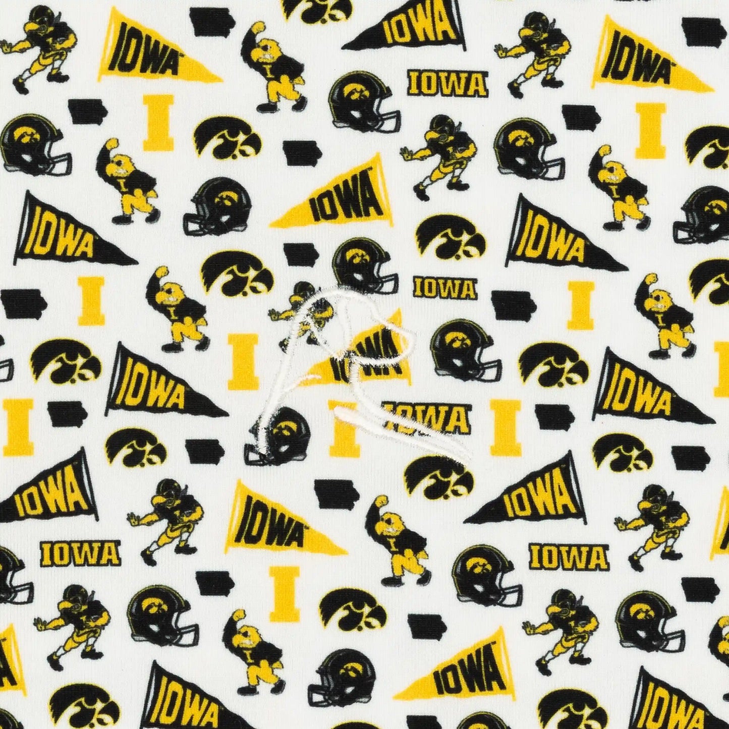 The Iowa Gameday