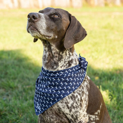 The GSP
