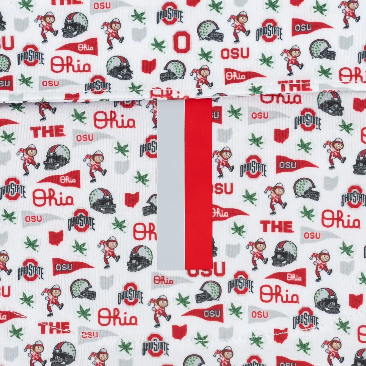 The Ohio State Gameday