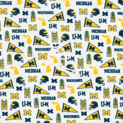 The Michigan Gameday