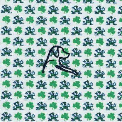 The Lil' Notre Dame Fighting Irish™