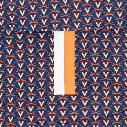 The UVA V-Sabre