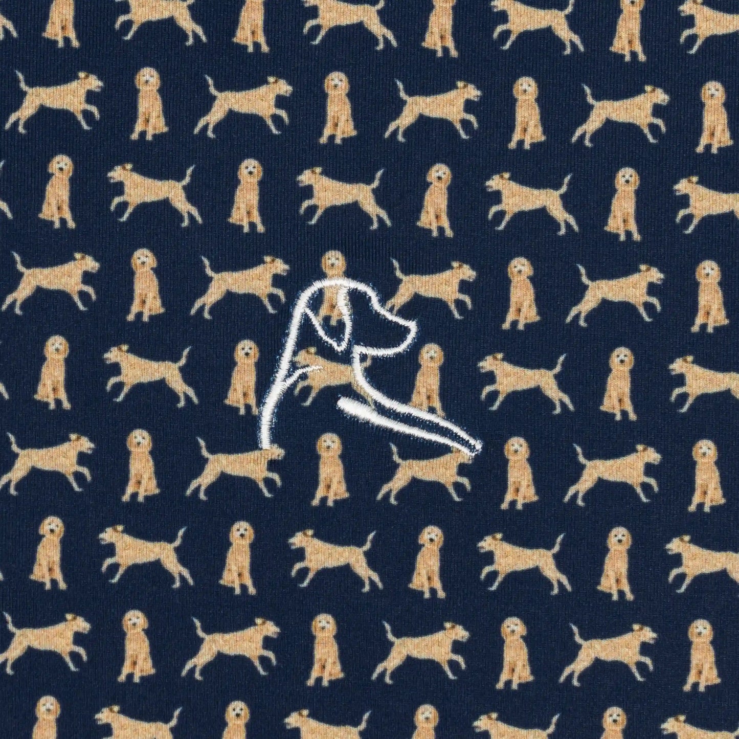 The Goldendoodle
