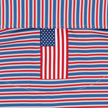 The Steward Stripe