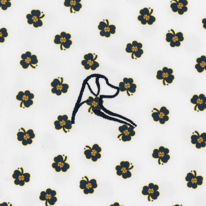 The Notre Dame Dancing Shamrock
