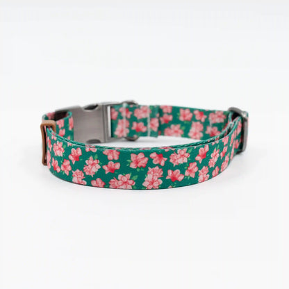 The Azalea Collar