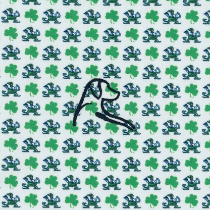 The Notre Dame Fighting Irish™