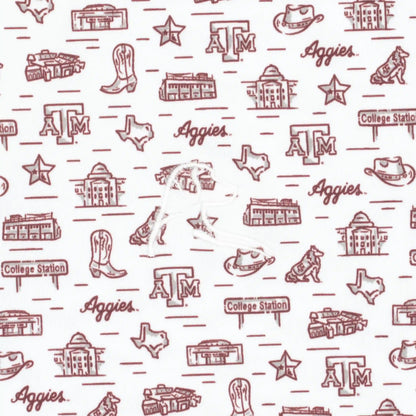 The Texas A&M College Town