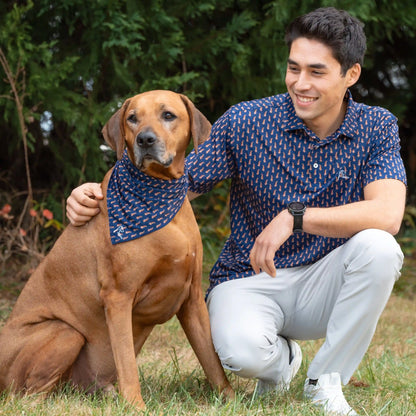 The Ridgeback