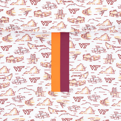 The Virginia Tech College Town