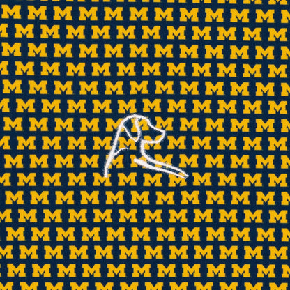 The Michigan Wolverines™