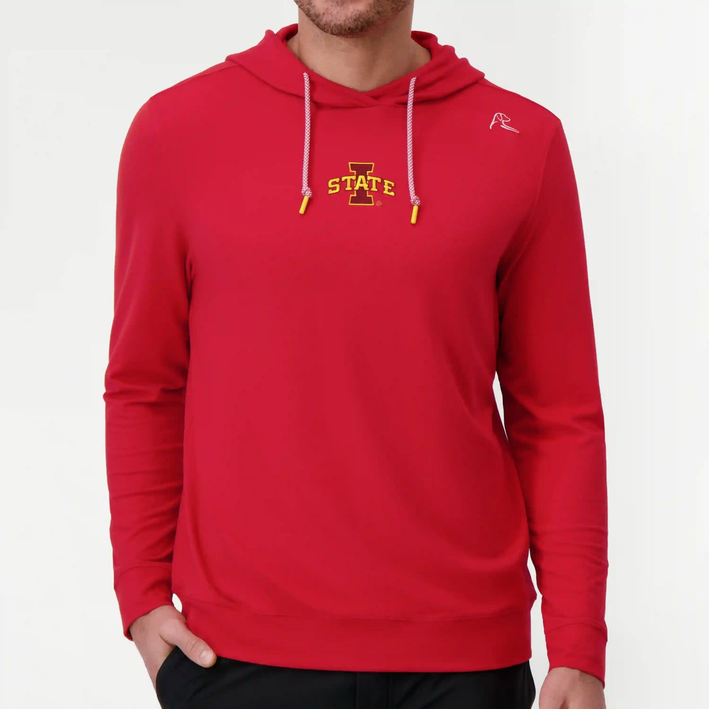 Hesi Collegiate Hoodie - Iowa State