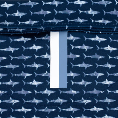 The Lil' Shark