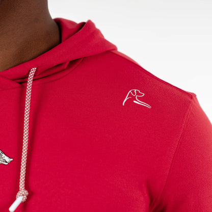 Hesi Collegiate Hoodie - Arkansas