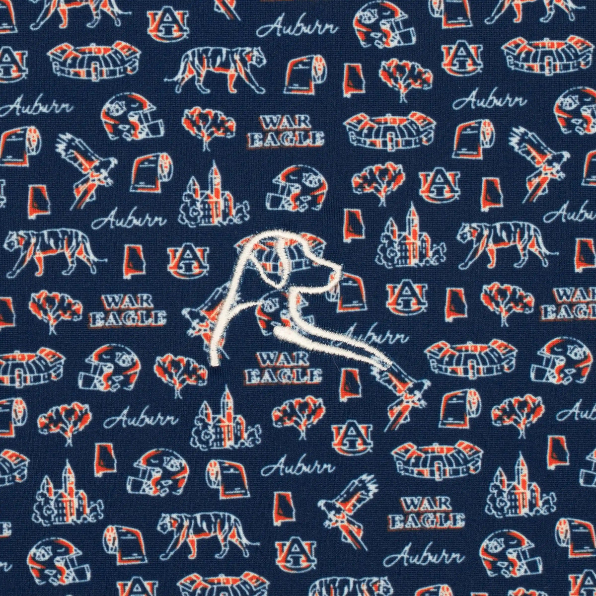 The Auburn College Town