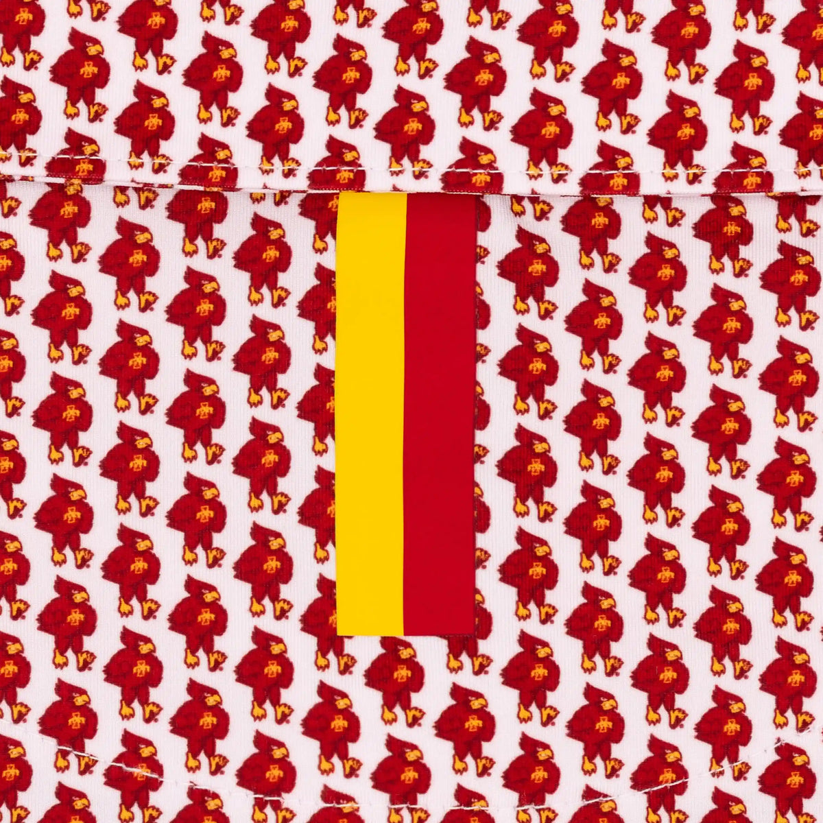 The Iowa State Cyclones®