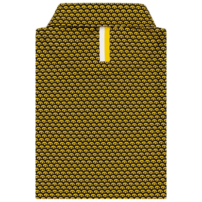 The Iowa Hawkeyes®