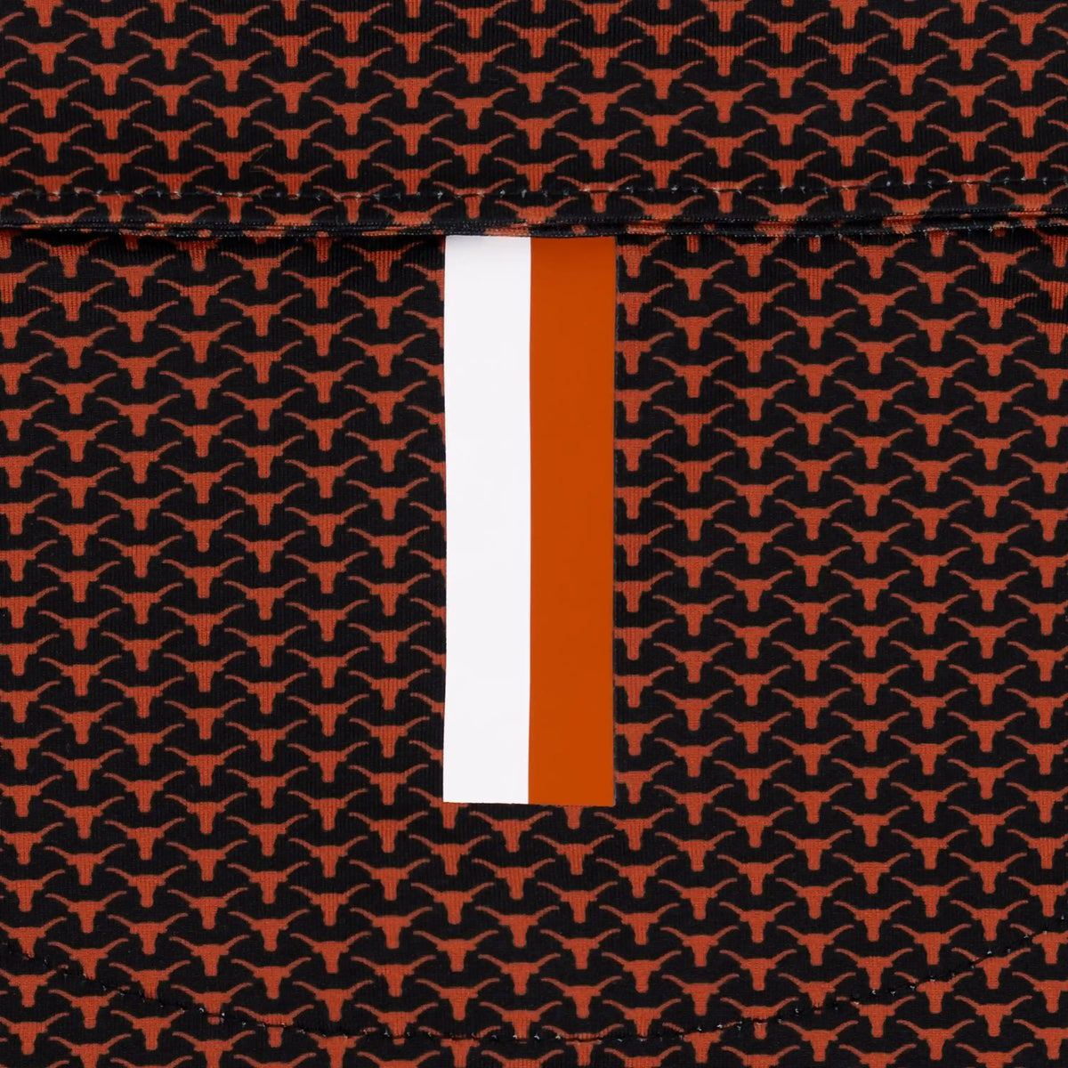 The Texas Horns