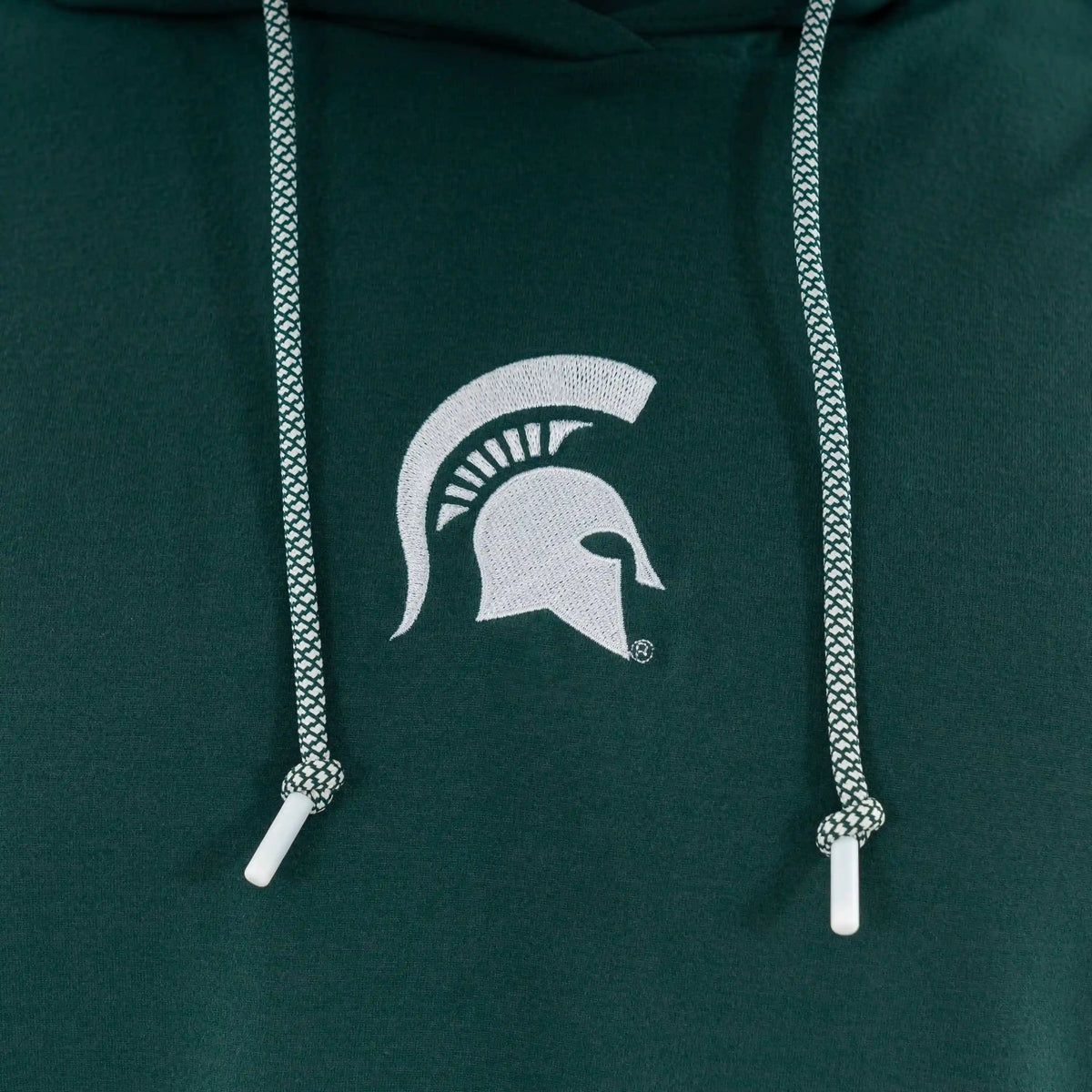 Hesi Collegiate Hoodie - Michigan State