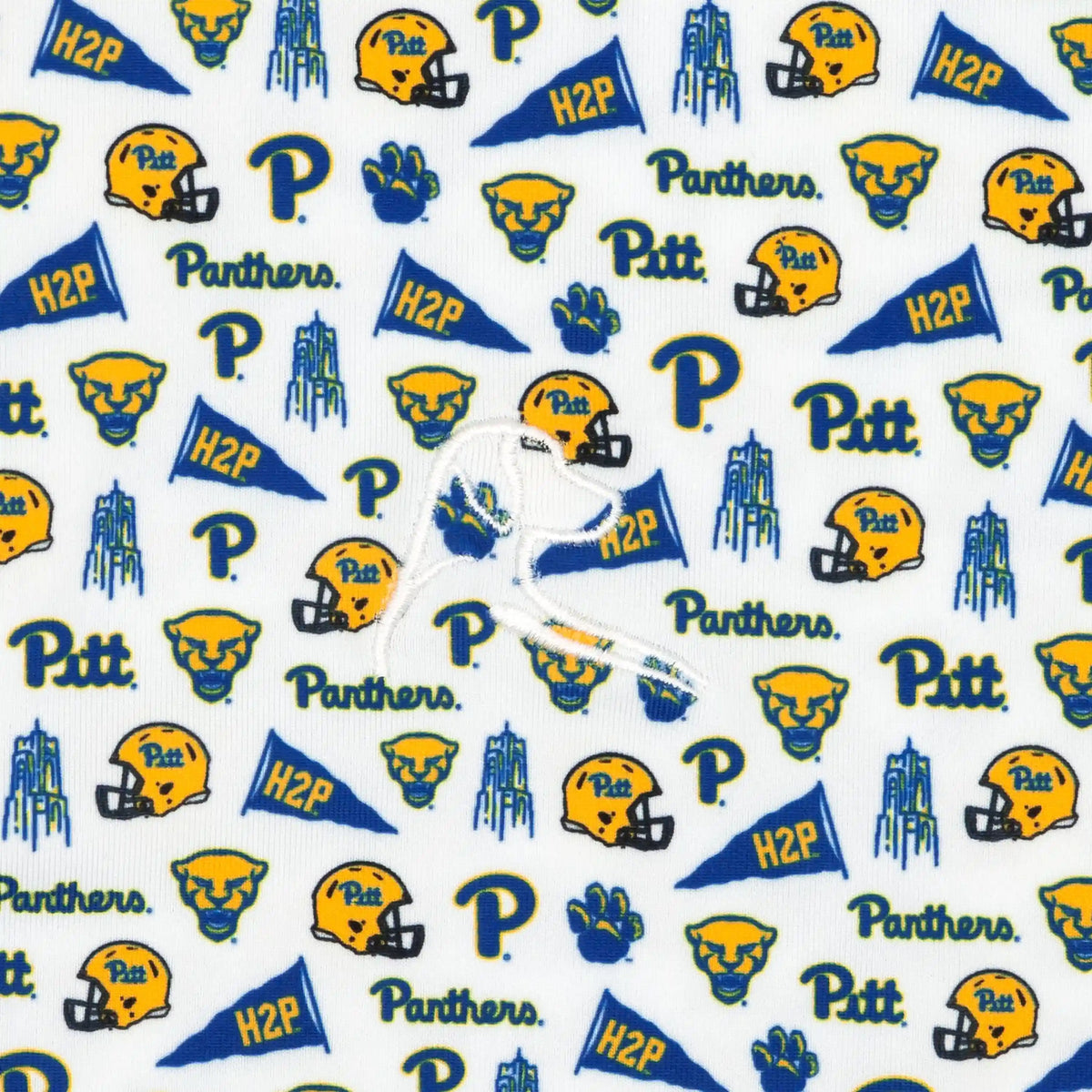The Pitt Gameday