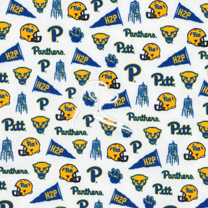 The Pitt Gameday