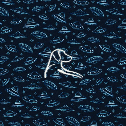 The UFO
