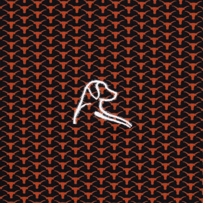 The Texas Horns