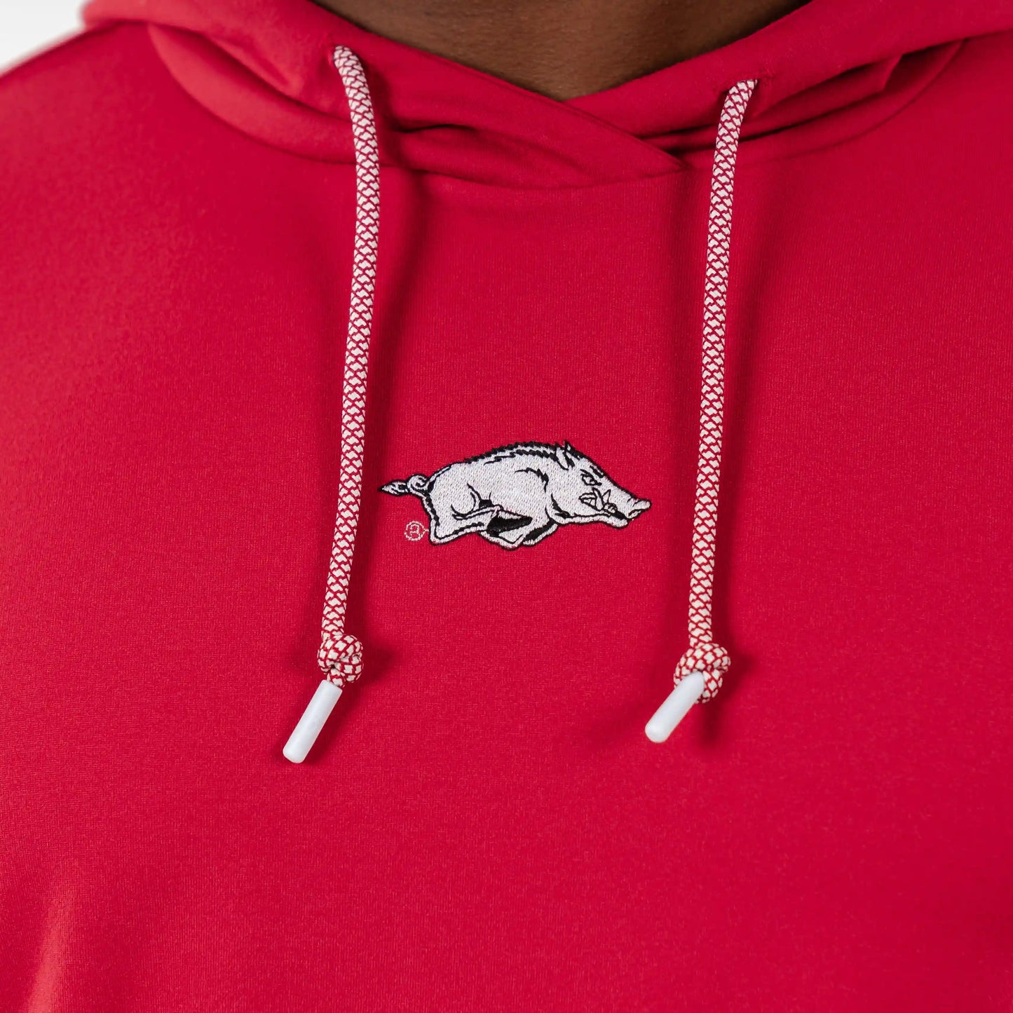 Hesi Collegiate Hoodie - Arkansas