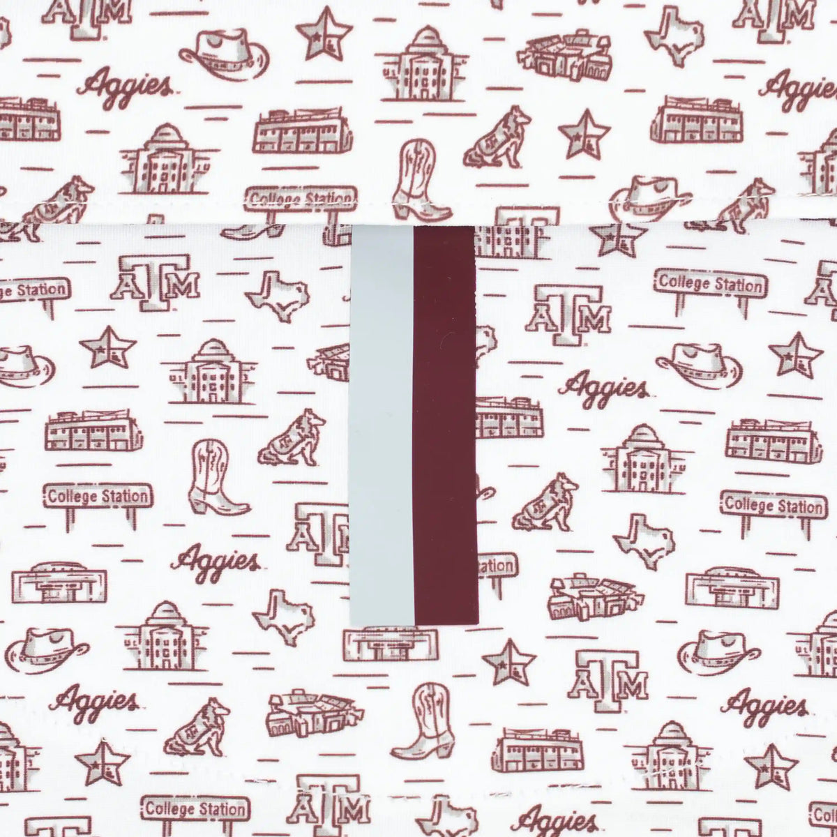 The Texas A&M College Town
