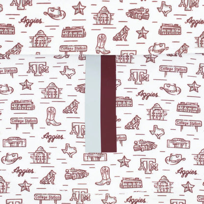 The Texas A&M College Town