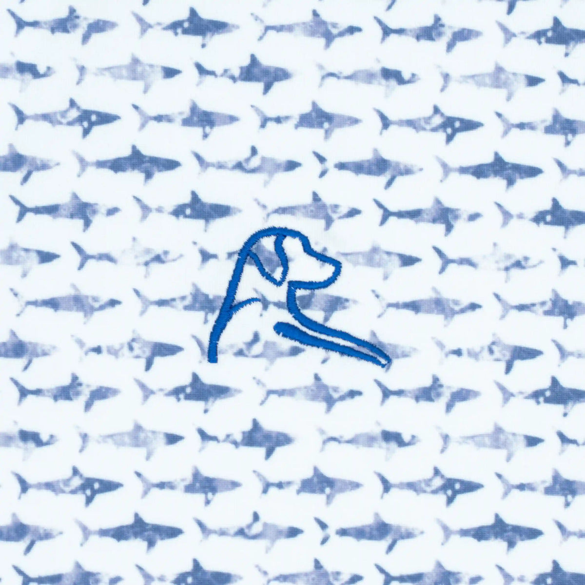 The Youth Shark