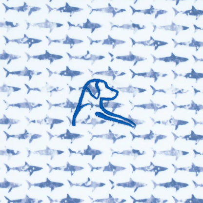 The Youth Shark