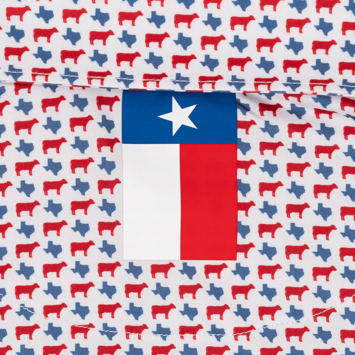 The Texas BBQ