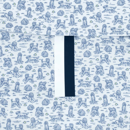 The Doodle