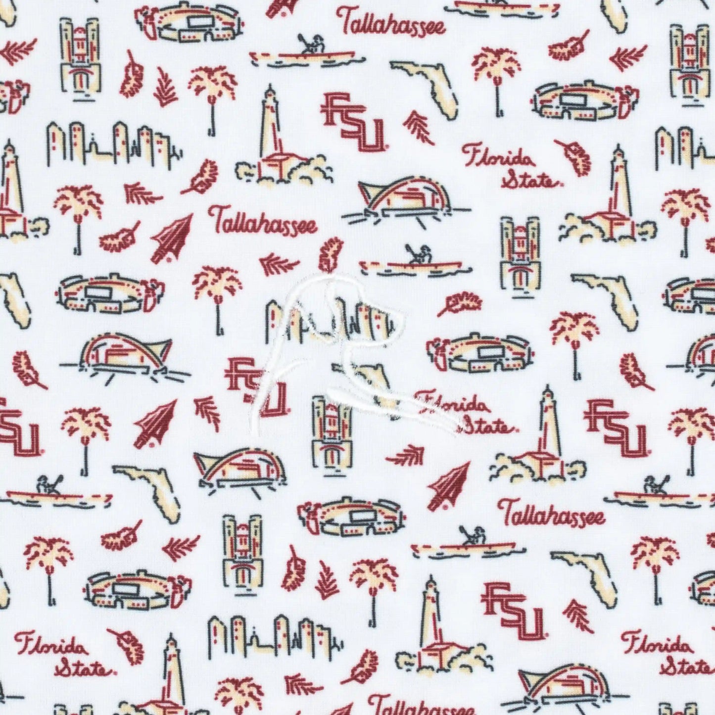 The Florida State College Town