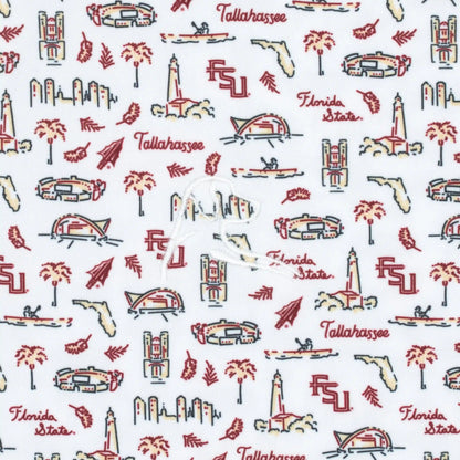 The Florida State College Town