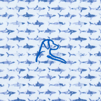 The Shark