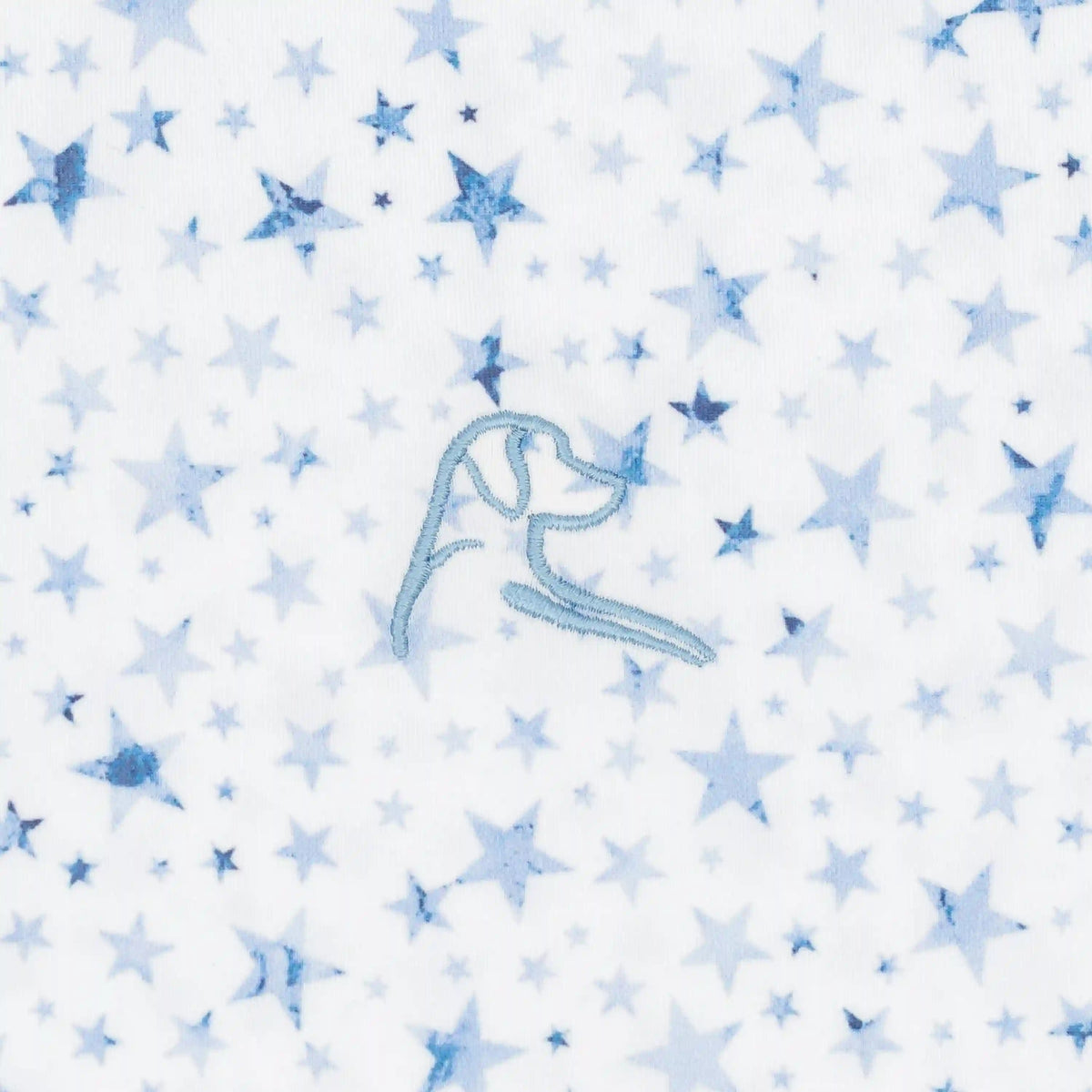 The North Star