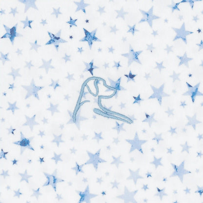 The North Star