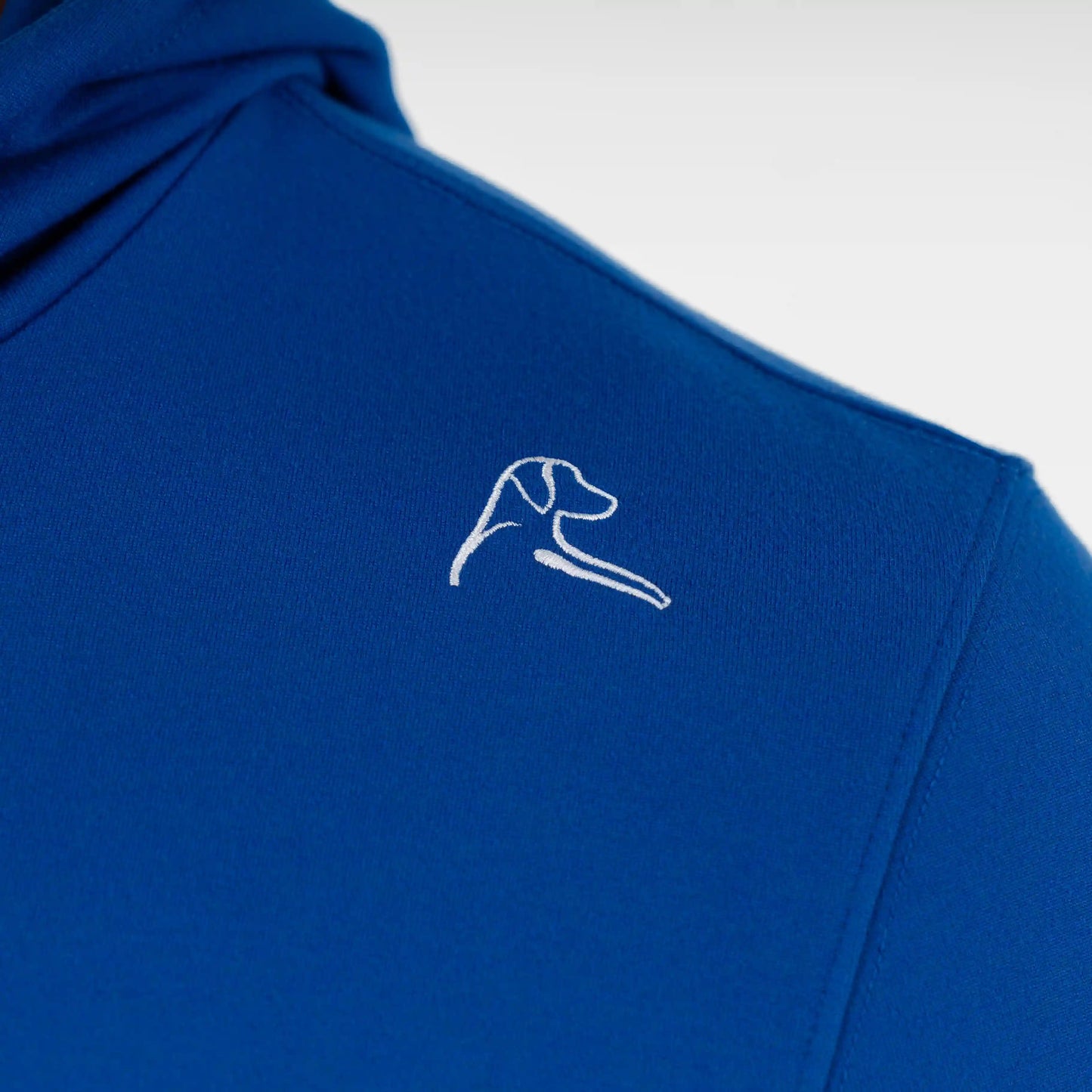 Hesi Collegiate Hoodie - Florida