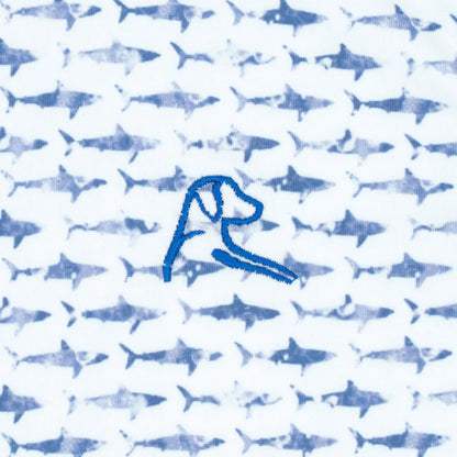 The Lil' Shark